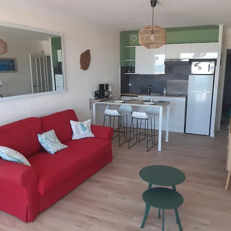 Apartment Superbe Appt Face A La Mer, Wifi Canet-en-Roussillon