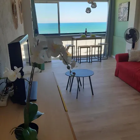 Superbe Appt Face A La Mer, Wifi * Canet-en-Roussillon